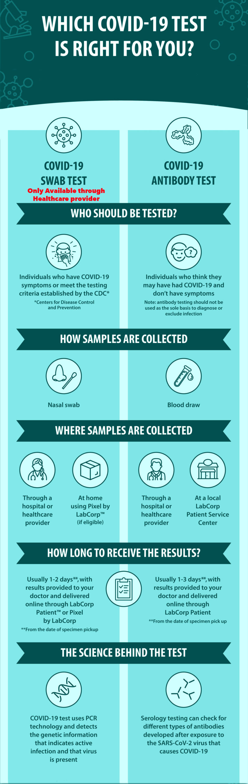 Infographic Covid-19 Antibody Testing Covid-19 Antibody Testing Infographic